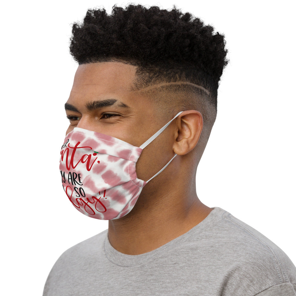 DEAR SANTA, WHY ARE YOU SO JUDGY- Premium face mask