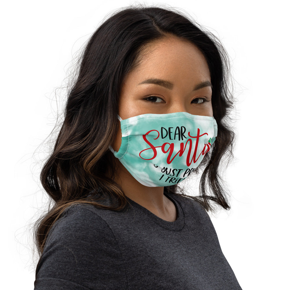 DEAR SANTA, LETS PRETEND I TRIED- Premium face mask