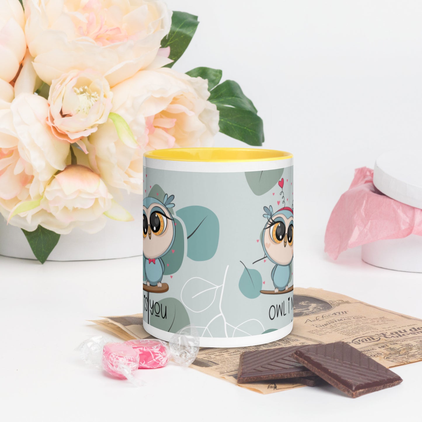 OWL I NEED IS YOU- Mug with Color Inside